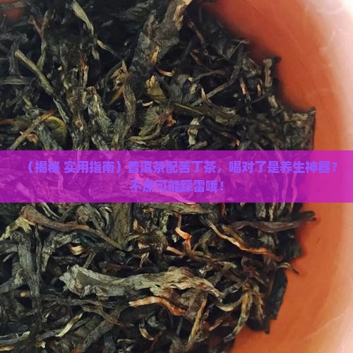 普洱茶加苦丁茶