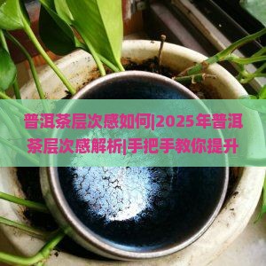 普洱茶层次感如何
