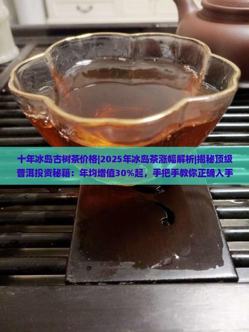 十年冰岛古树茶价格