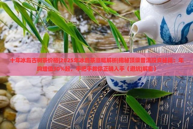 十年冰岛古树茶价格