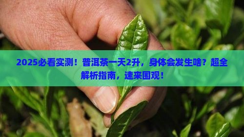 普洱茶一天喝2升