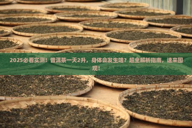 普洱茶一天喝2升