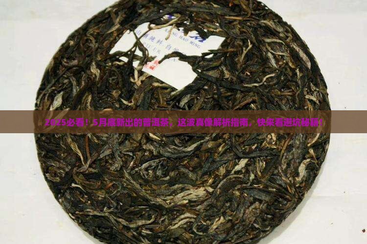 5月底生产的普洱茶