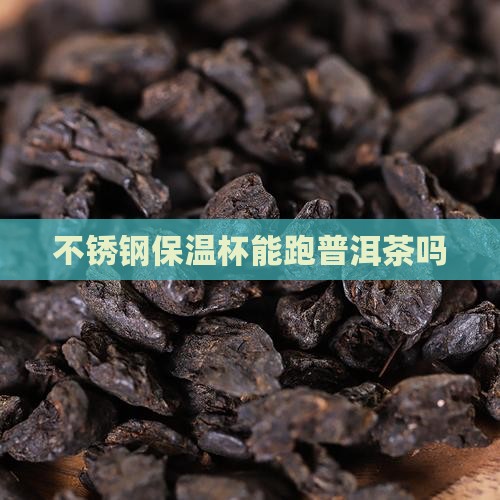 不锈钢保温杯能跑普洱茶吗