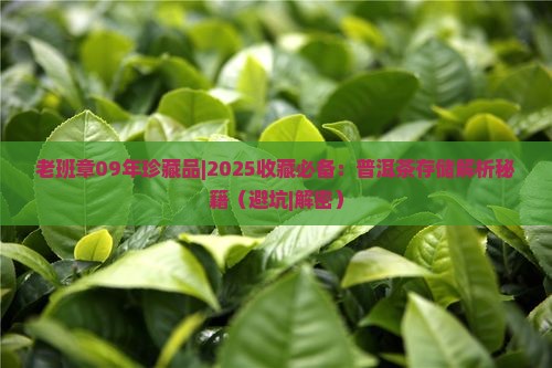 老班章09年珍藏品