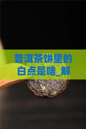 普洱茶饼里的白点是啥