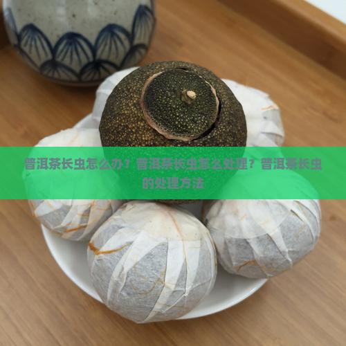 普洱茶长虫怎么治