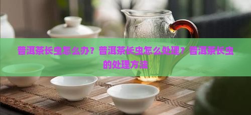 普洱茶长虫怎么治