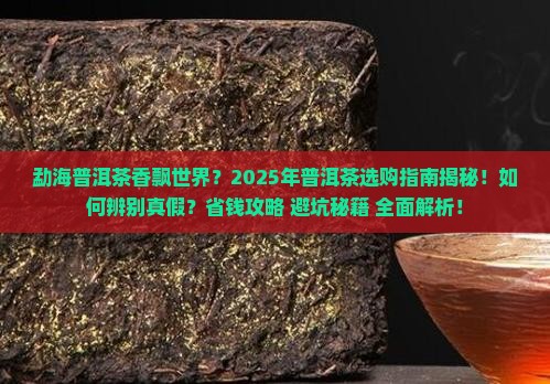 勐海普洱茶香飘世界