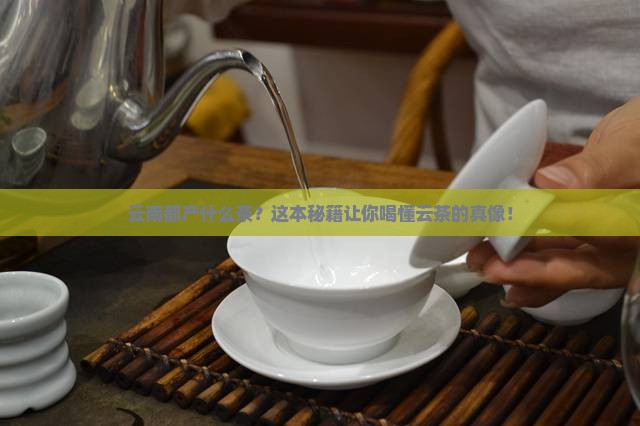 云南都产什么茶