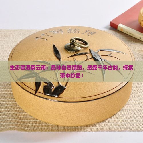 生态普洱茶云南