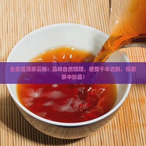生态普洱茶云南