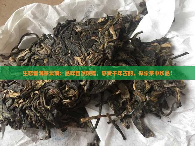 生态普洱茶云南