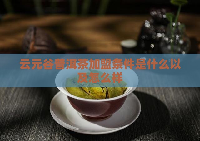 云元谷普洱茶加盟条件