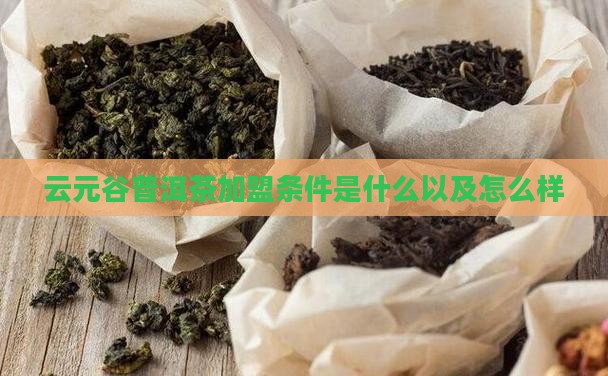云元谷普洱茶加盟条件