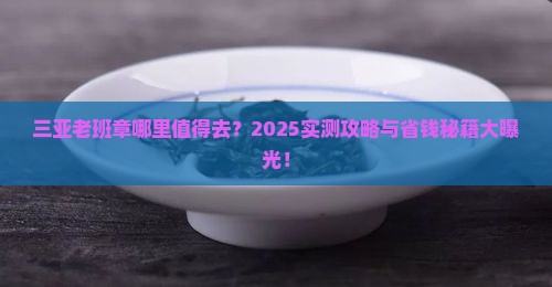 三亚老班章哪里不错