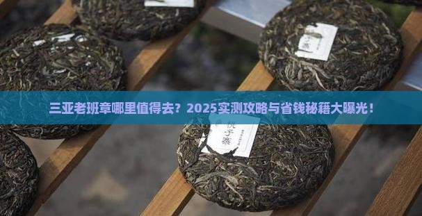 三亚老班章哪里不错