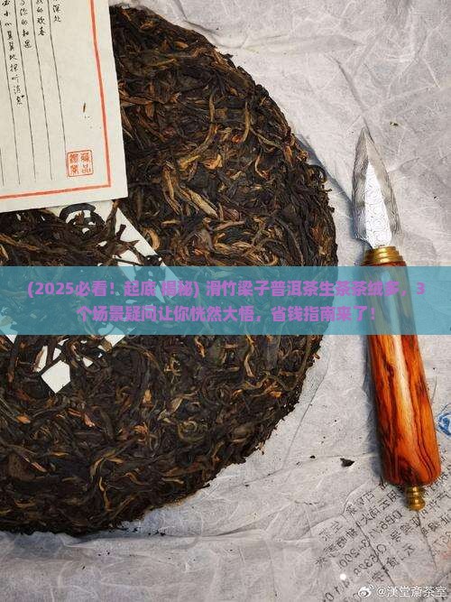 滑竹梁子普洱茶生茶茶绒多