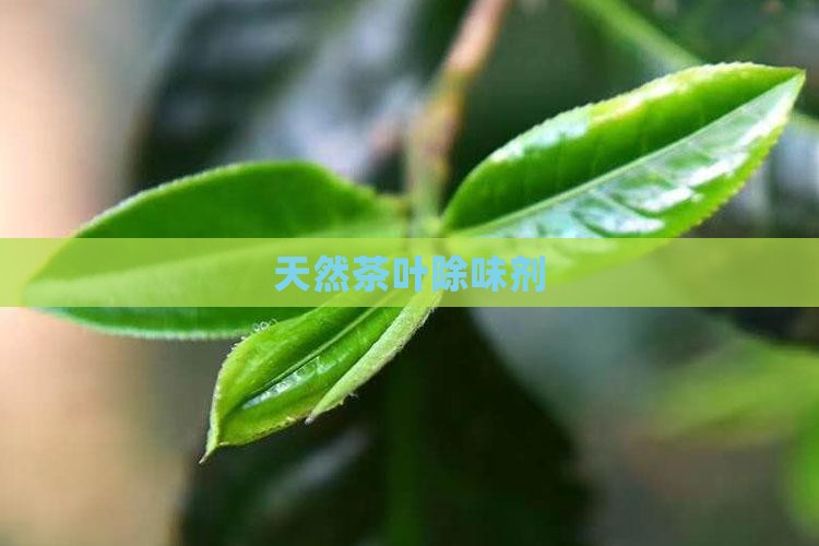天然茶叶除味剂