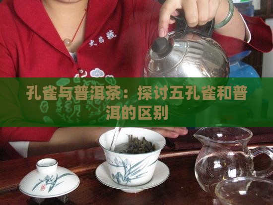 五孔雀和普洱茶的区别