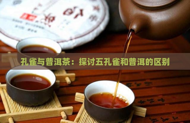 五孔雀和普洱茶的区别