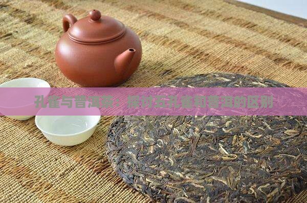 五孔雀和普洱茶的区别