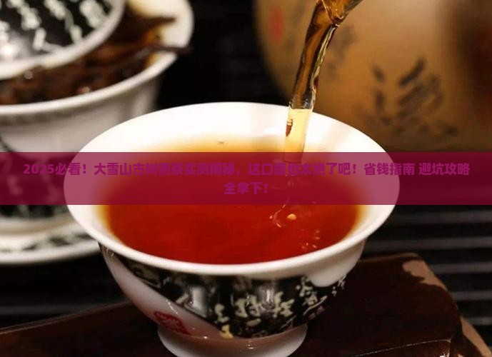 大雪山古树普洱熟茶