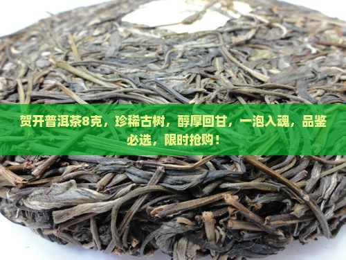 贺开普洱茶8克