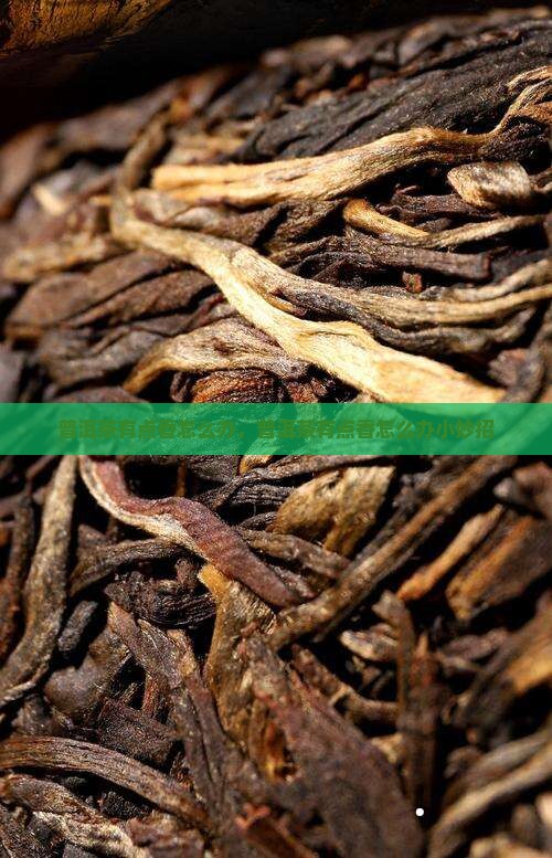 普洱茶有点香怎么办