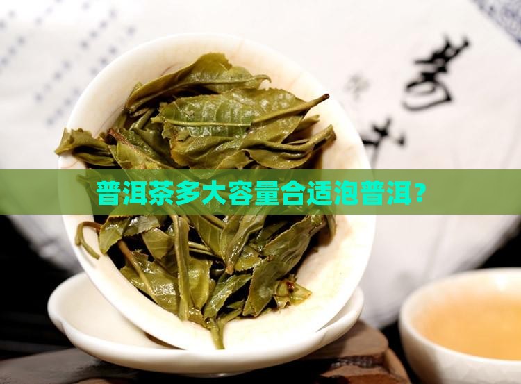 普洱茶用多少容量水杯合适