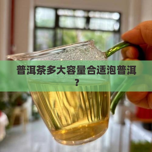 普洱茶用多少容量水杯合适