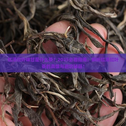 红汤红叶味甘是什么茶