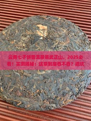 云南七子饼普洱茶易武正山
