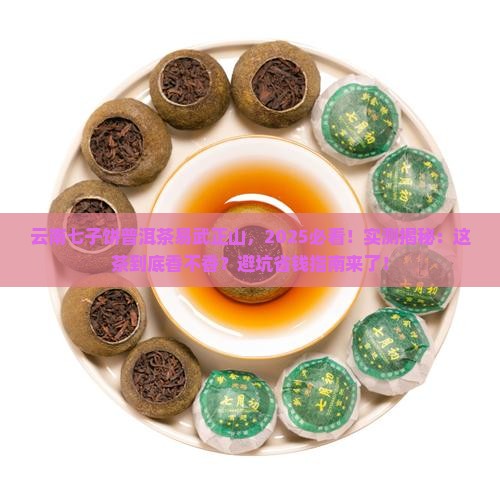 云南七子饼普洱茶易武正山