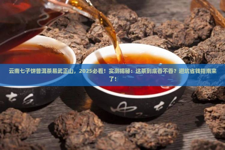 云南七子饼普洱茶易武正山