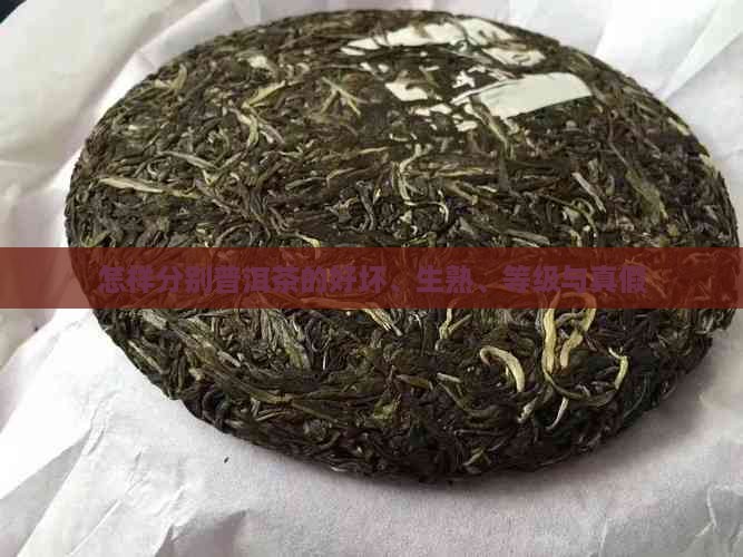 怎样分别普洱茶