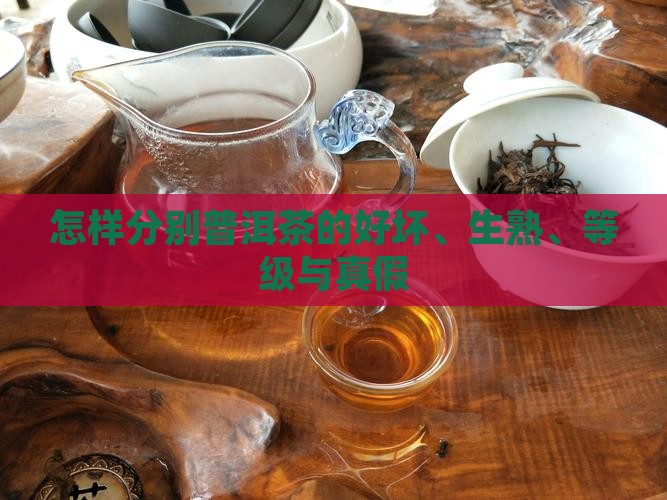 怎样分别普洱茶