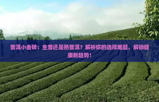 普洱小金砖属于生普还是熟普洱