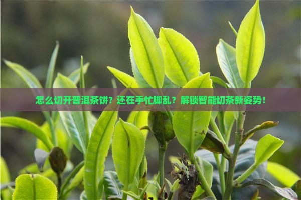 怎么切开普洱茶饼