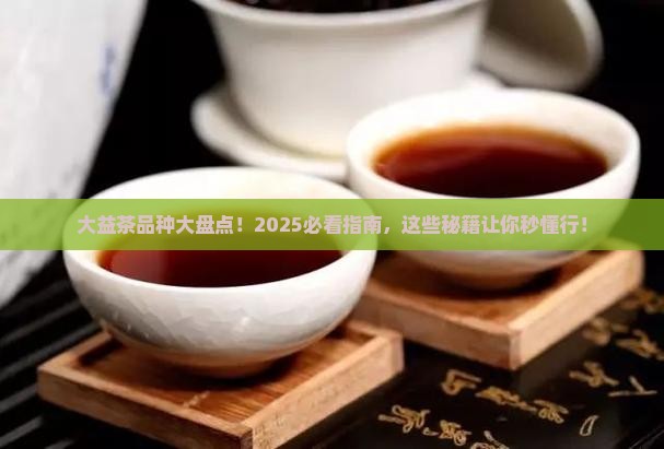 大益茶有哪些品种