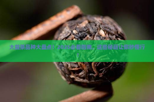 大益茶有哪些品种