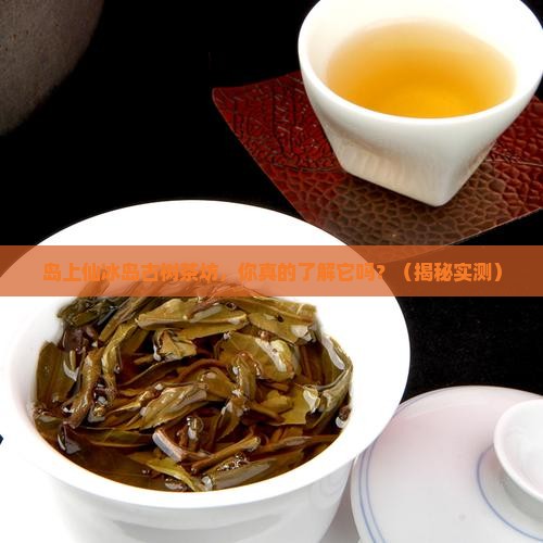 岛上仙冰岛古树茶坊