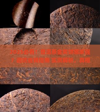 普洱茶金奖饼哪家好