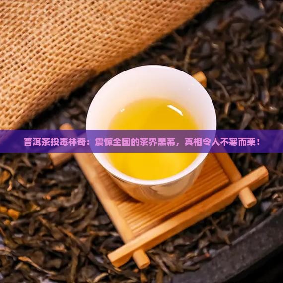 普洱茶投毒林奇