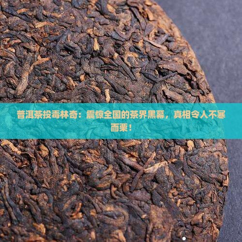 普洱茶投毒林奇