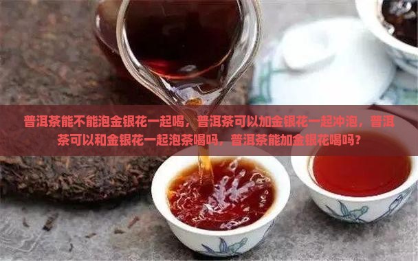 普洱茶能不能泡金银花一起喝