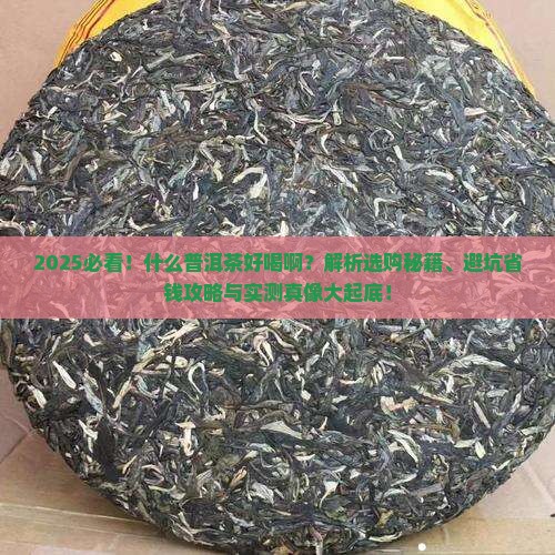 什么普洱茶好喝啊