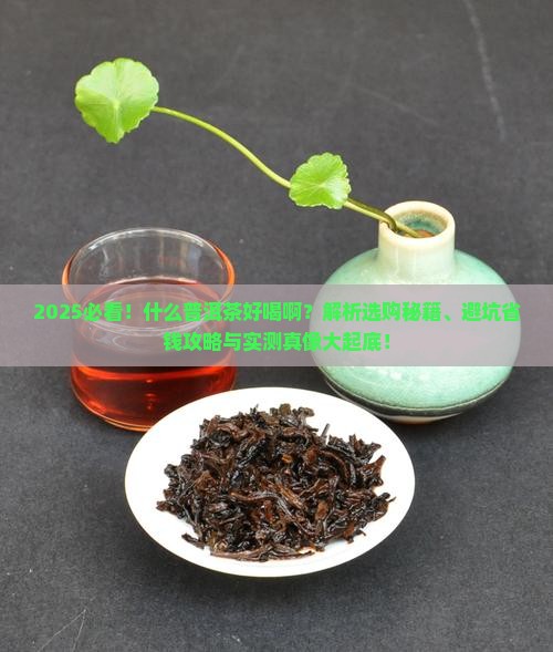 什么普洱茶好喝啊
