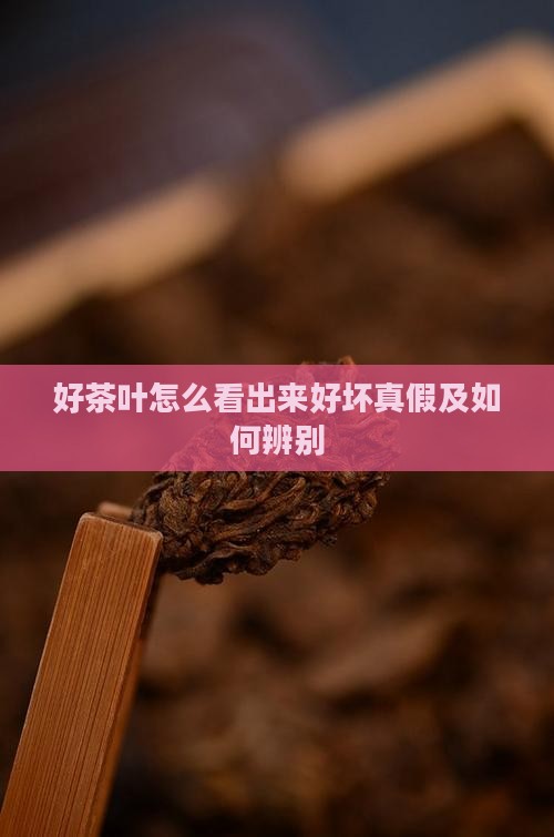好茶叶怎么看出来 好茶叶怎么看出来