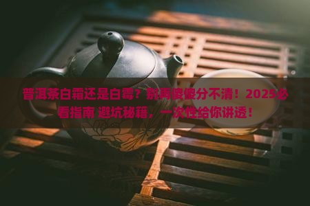 普洱茶白霜和白霉